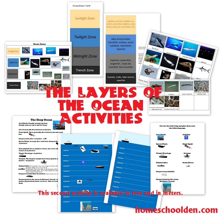 Layers-of-the-Ocean-Activities