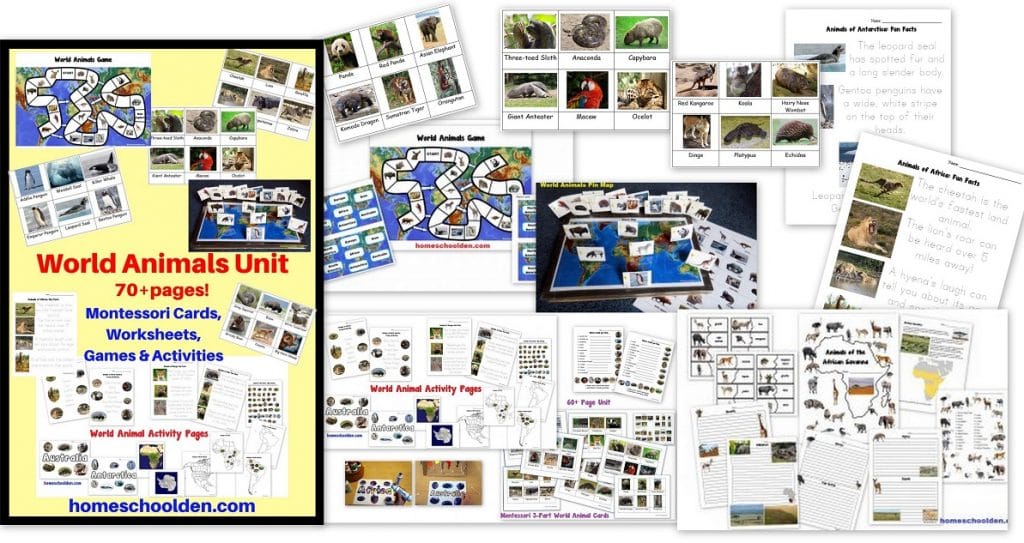 https://cb428a3a.delivery.rocketcdn.me/wp-content/uploads/2020/03/World-Animals-Unit-Montessori-Cards-Games-Activities-and-more.jpg