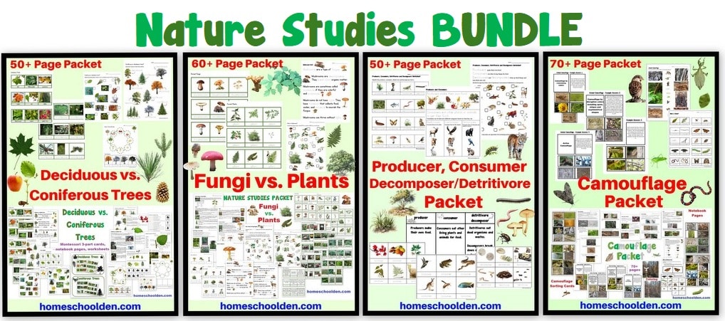 Nature Studies BUNDLE 4