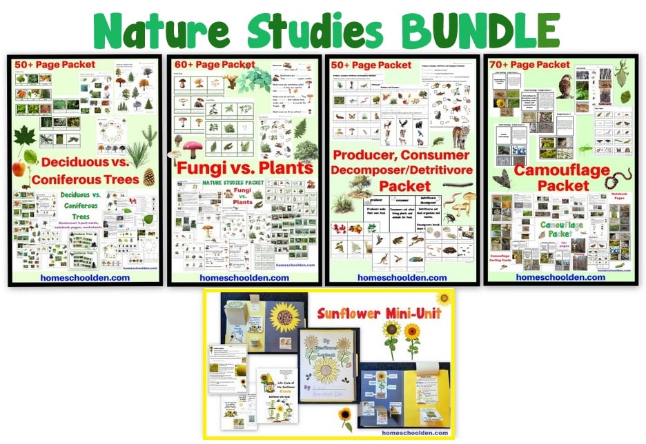 Nature Studies BUNDLE of 5